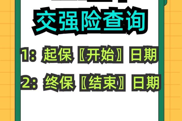 如何快速查询名下是否拥有车辆信息